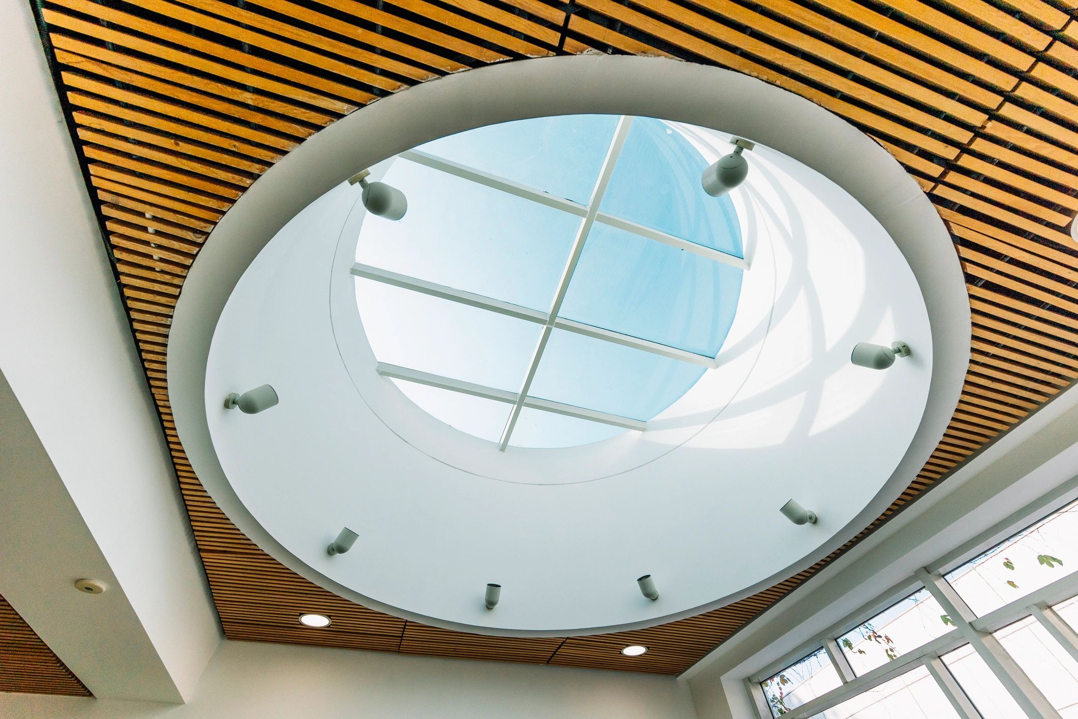 Architectural glass ceiling with gentle light, symbolizing clarity and transparency