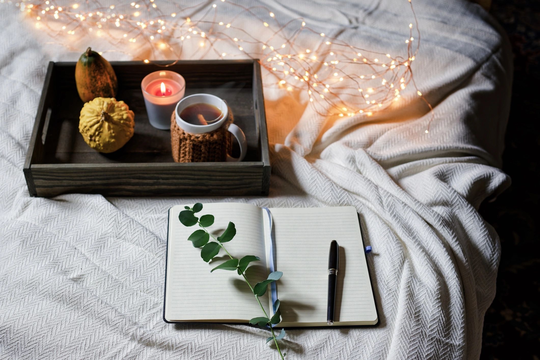 Wellness diary and tea in a peaceful indoor setting, suggesting reflective reading